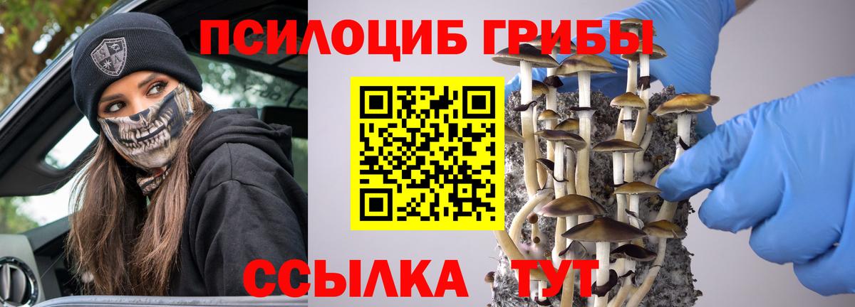 Псилоцибиновые грибы Psilocybe Ревда