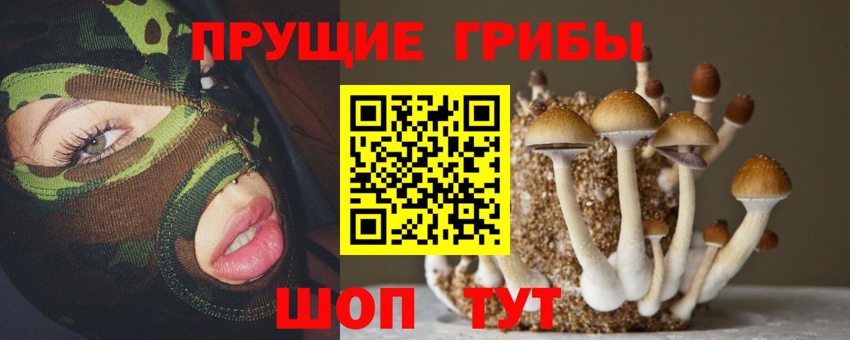 как найти закладки  Псилоцибиновые грибы MAGIC MUSHROOMS  Вход с VPN  Ревда 